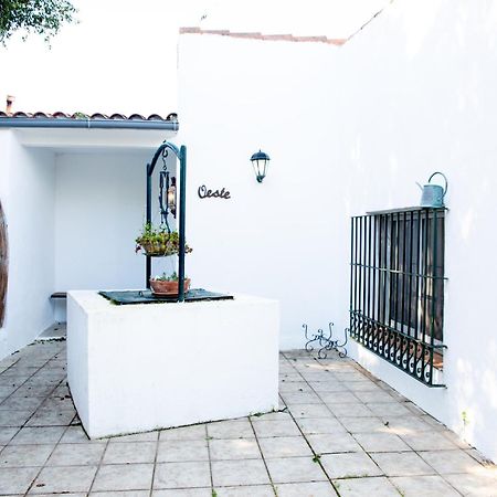 Casa Rural Con Piscina Y Jacuzzi En Conil De La Frontera Vila Cádis Exterior foto