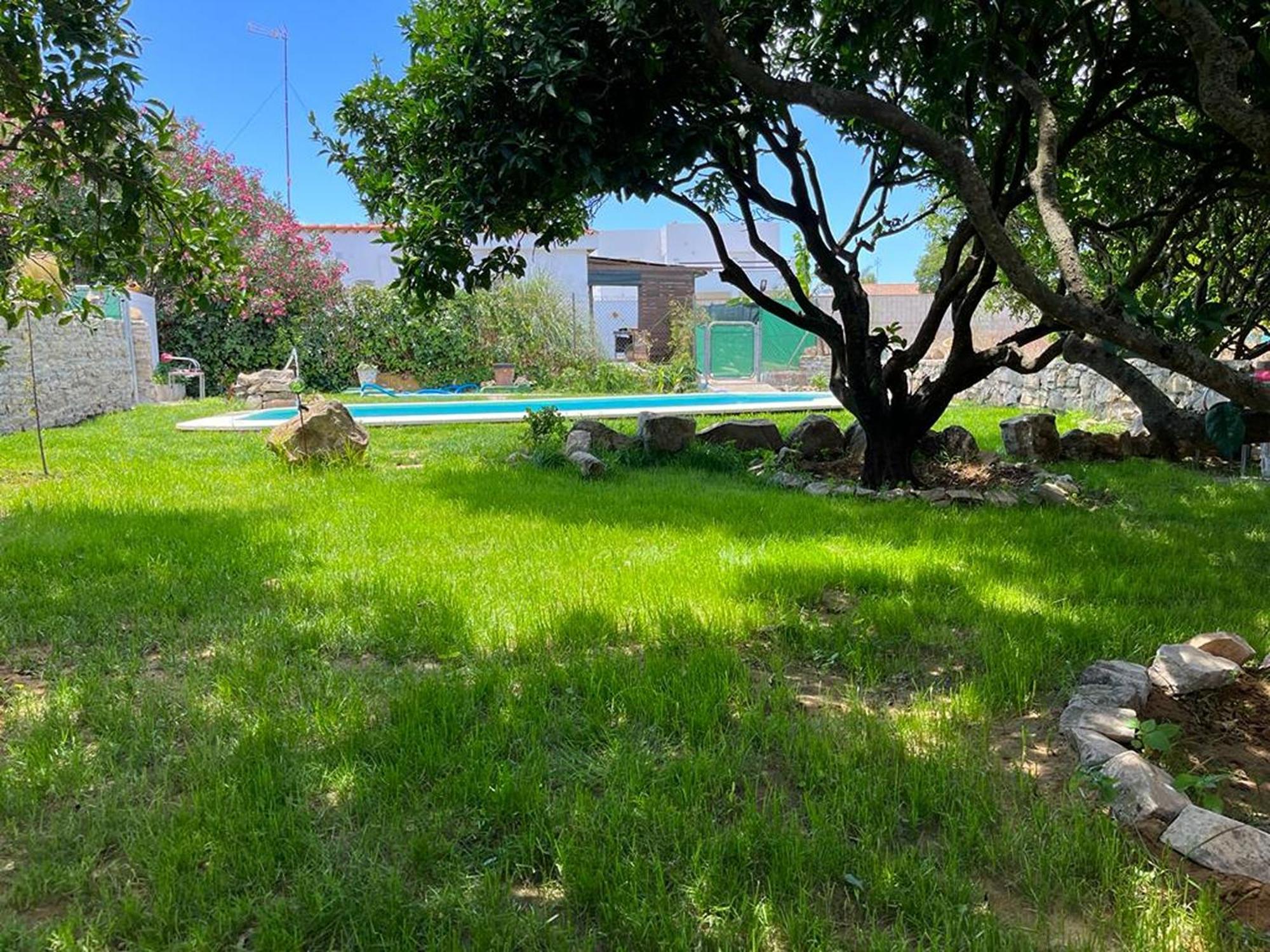 Casa Rural Con Piscina Y Jacuzzi En Conil De La Frontera Vila Cádis Exterior foto