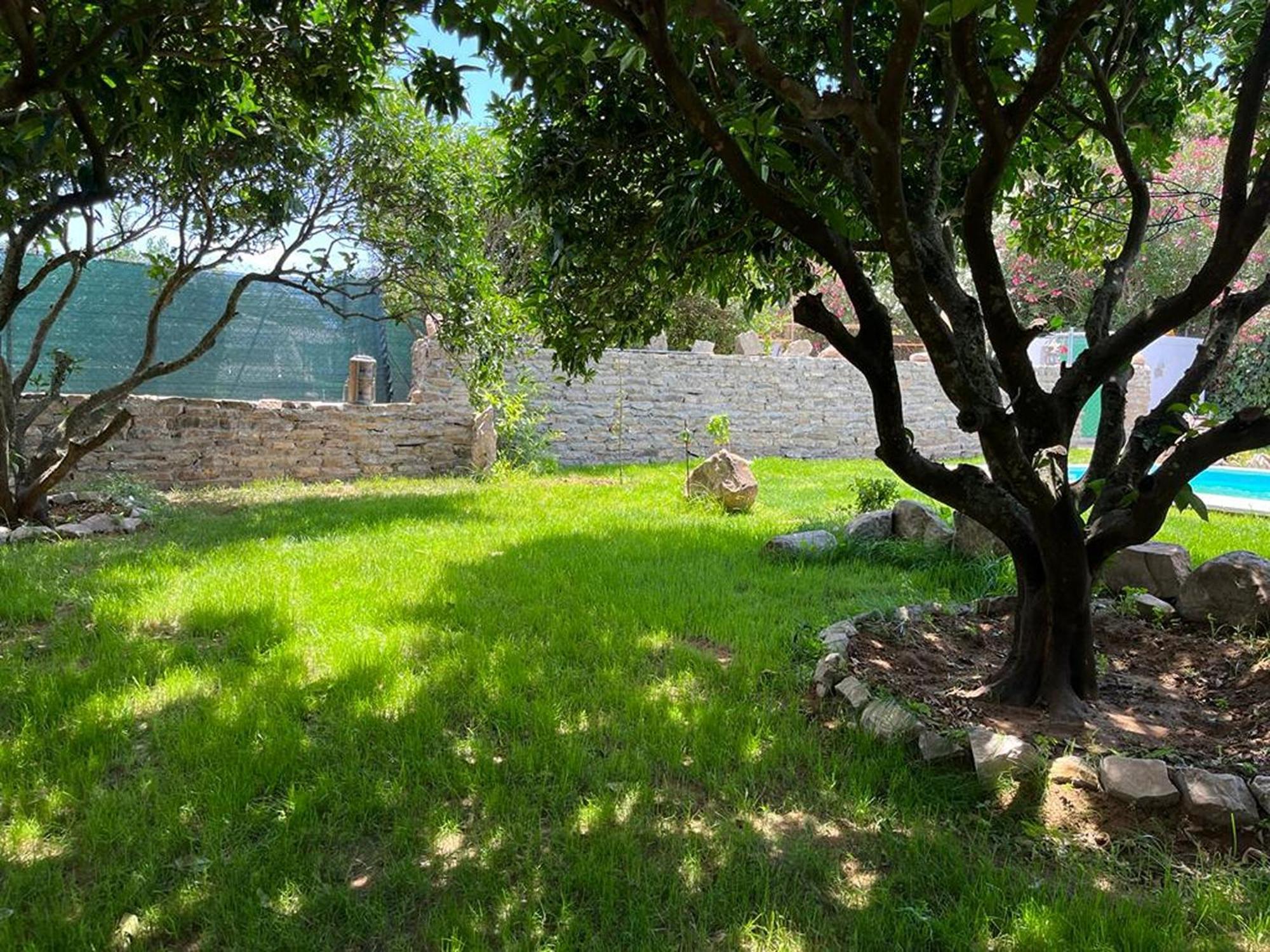 Casa Rural Con Piscina Y Jacuzzi En Conil De La Frontera Vila Cádis Exterior foto