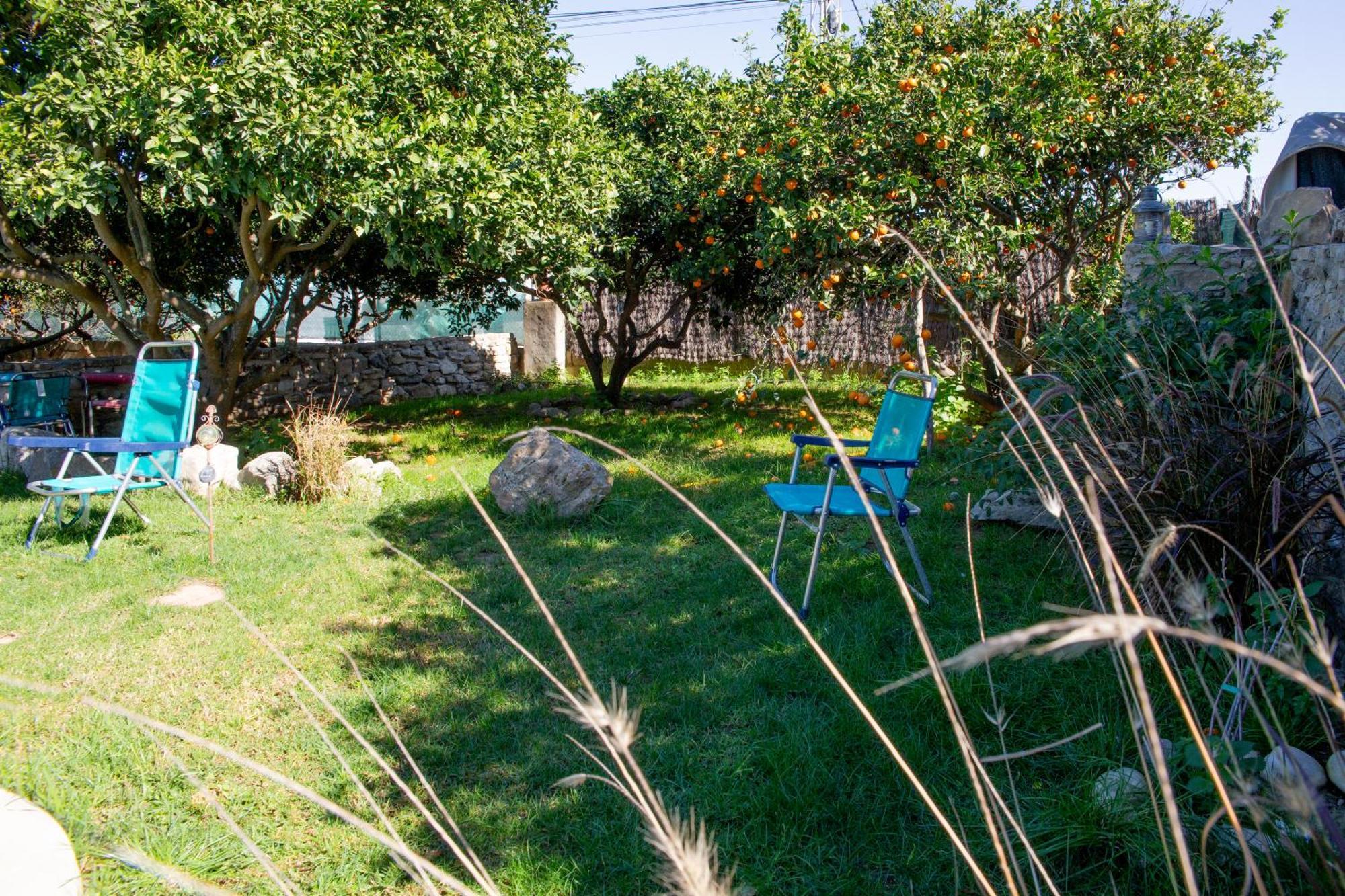 Casa Rural Con Piscina Y Jacuzzi En Conil De La Frontera Vila Cádis Exterior foto